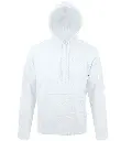 SOL'S Unisex Snake Hooded Sweatshirt 47101 ASH FR.webp