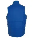 44002 ROY BACK.webp