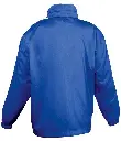 32300 ROY BACK.webp