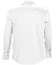 17000 WHI BACK.webp
