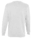 13250 ASH BACK.webp