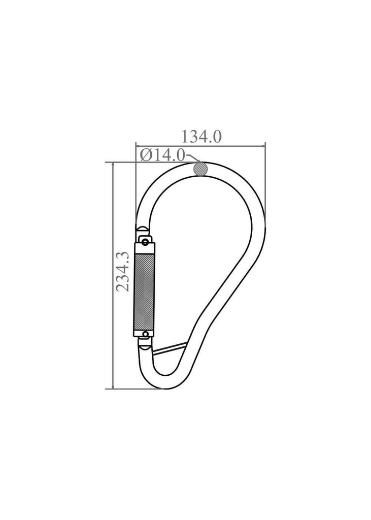 1729520985-59459000.jpg