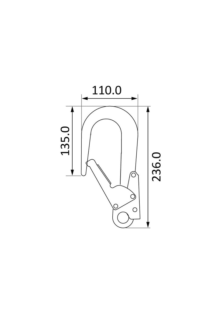 1729521339-56369100.jpg