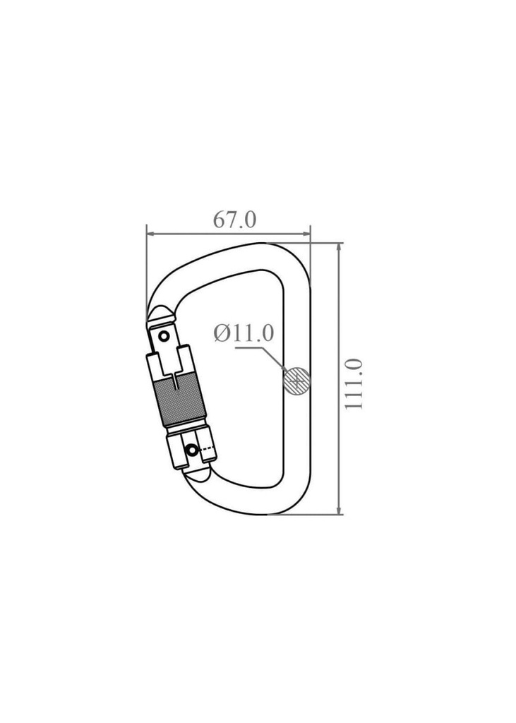 1729598962-69711300.jpg