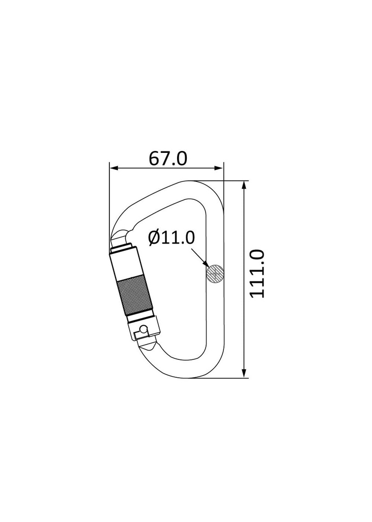 1729599176-11823900.jpg
