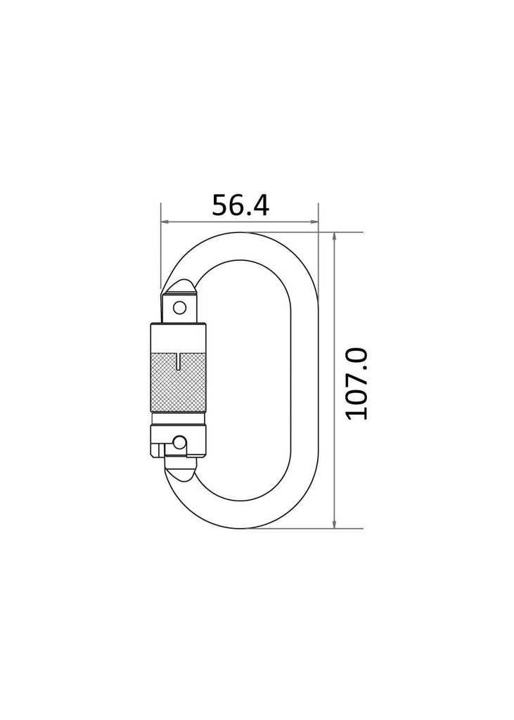 1729600681-89209200.jpg