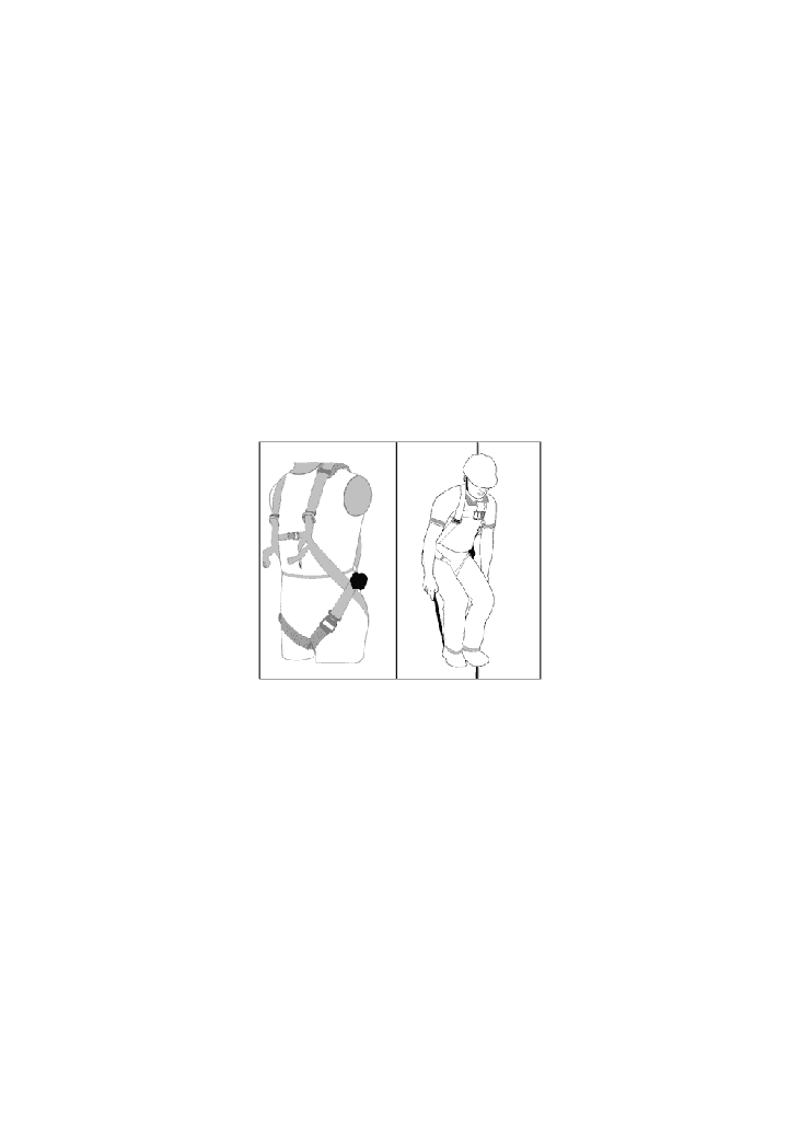 1729604730-72855300.png