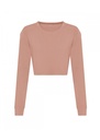 AWDis Just T's Womens Long Sleeve Cropped T JT016