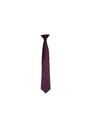 Premier 'Colours' Satin Clip Tie PR755