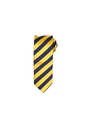 Premier Club Strip Tie PR786