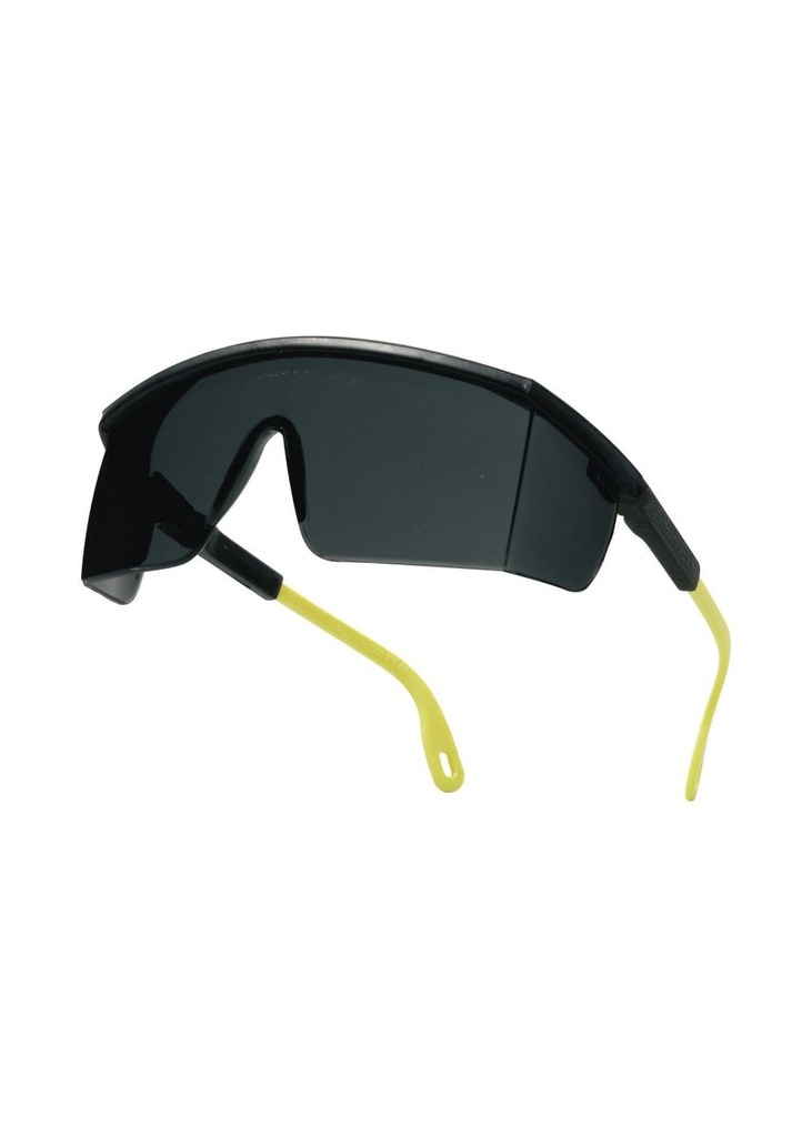 Delta Plus GLASSES POLYCARBONATE LENSES - AS - UV400