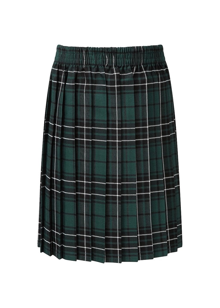 Blue Max Banner Skye Tartan Junior Skirt 1EJ