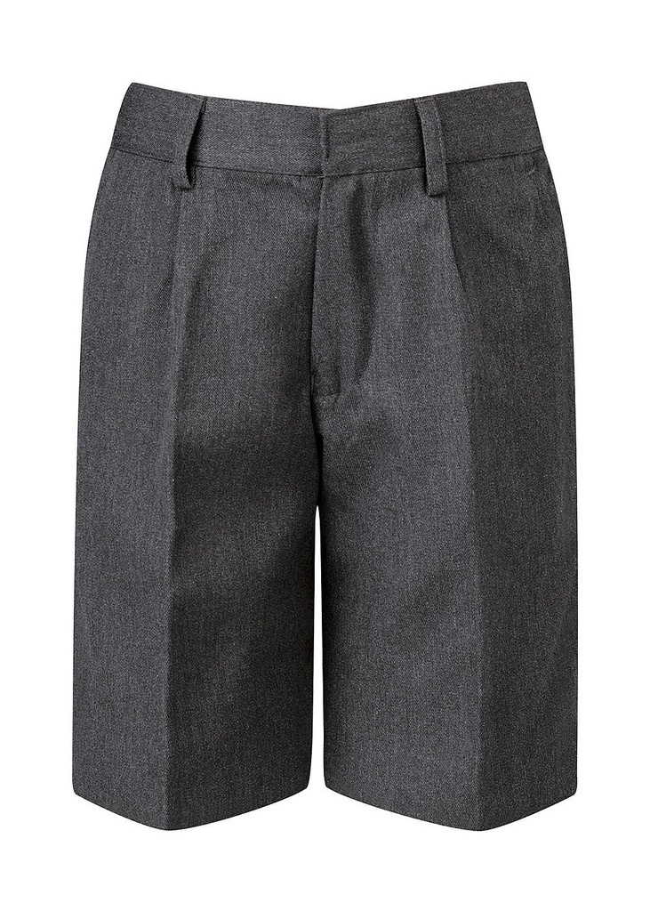 Blue Max Banner Bermuda Shorts 1K3