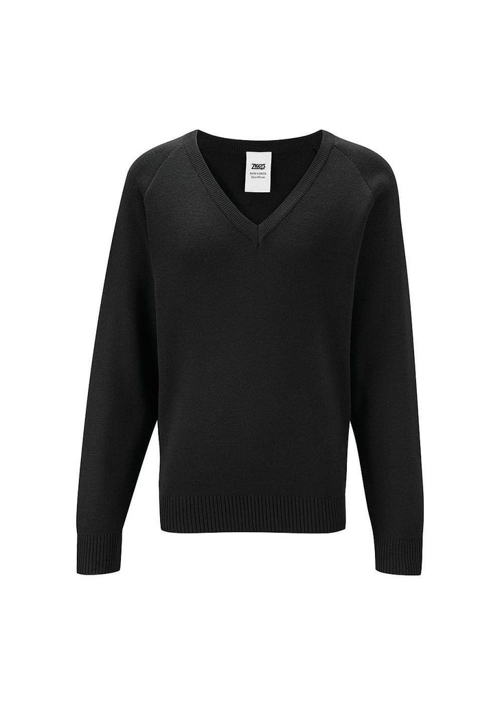 Blue Max Banner Premier LC V Neck Jumper 1WW