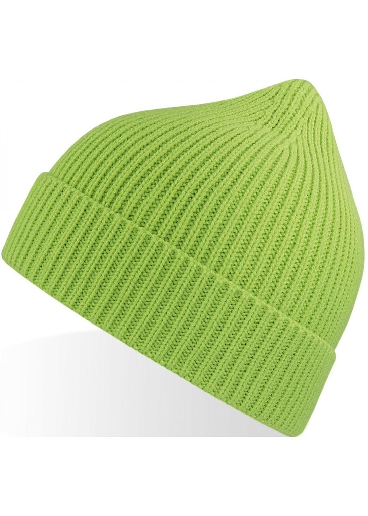 Atlantis Andy Recycled Polyester Acrylic Beanie ACANDB