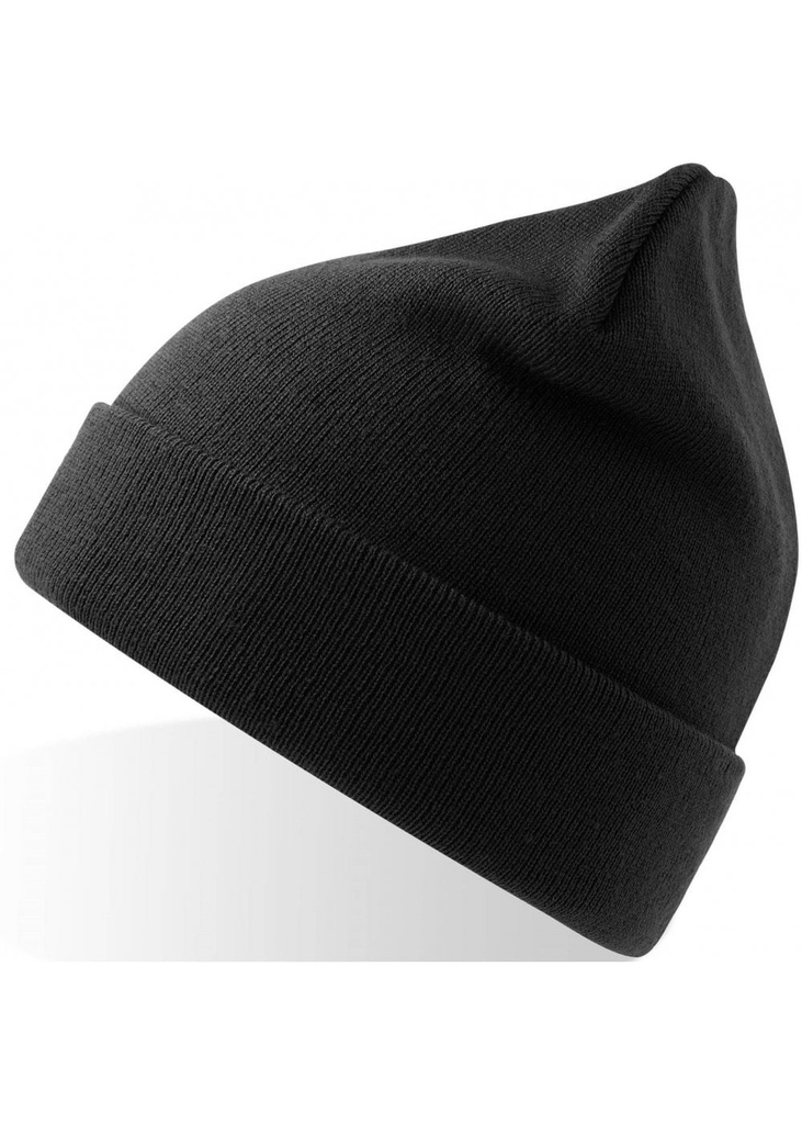 Atlantis Pier Polartec Lined Beanie Sustainable ACPIES