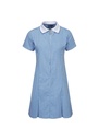Blue Max Banner Avon Corded Gingham Dress 913104