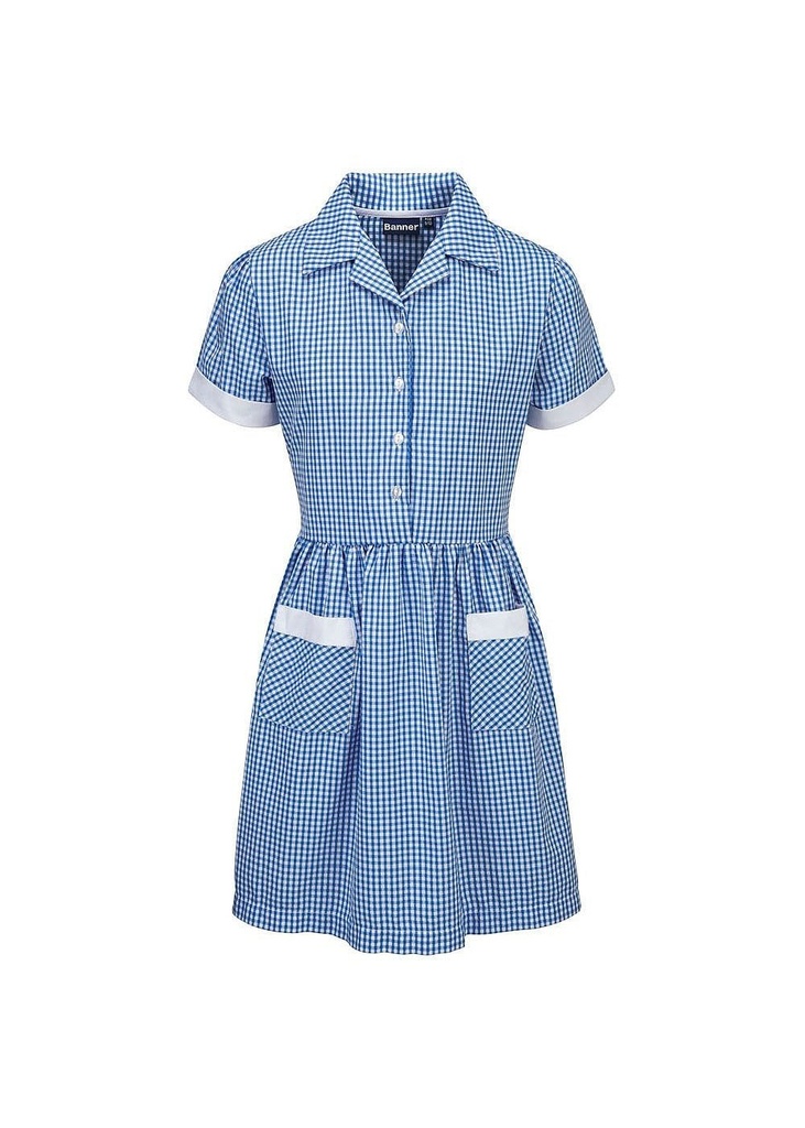 Blue Max Banner Ayr Button Front Corded Gingham Dress 913108
