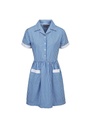 Blue Max Banner Ayr Button Front Corded Gingham Dress 913108