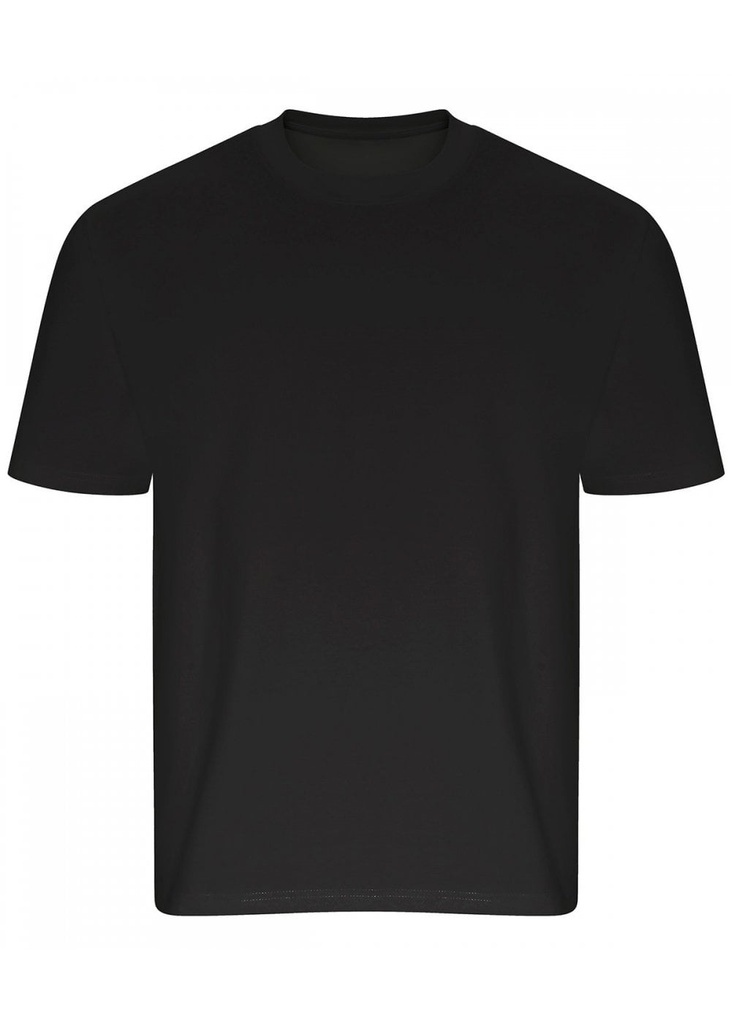 AWDis Ecologie Arrow recycled heavy oversized tee  EA006