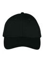 Native Spirit 6 Panel Cap NS038