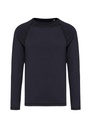 Native Spirit Raglan Long Sleeve Washed T-Shirt NS338