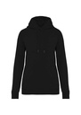 Native Spirit Ladies Raglan Sleeve Hoodie NS422