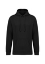 Native Spirit Unisex French Terry Hoodie NS431
