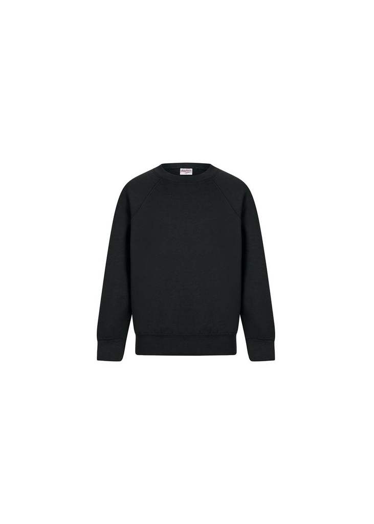 Absolute Apparel Youths Sterling Sweat AA25