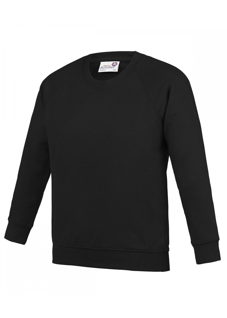 AWDis Kids Academy Raglan Sweatshirt AC001J