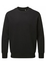 Anthem Sweatshirt AM020