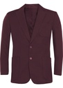 Blue Max Banner Ziggy Blazer 1UI