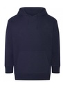 AWDis Ecologie Crater recycled hoodie  EA042