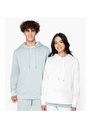Native Spirit Unisex Terry 280 Hoodie NS416