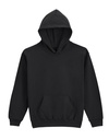 Gildan Softstyle Midweight Fleece Youth Hoodie SF500B
