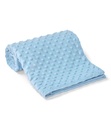 Brand Lab Minky Fleece Blanket BH003