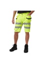 Helly Hansen Alna 2.0 Construction Shorts 77425