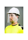 Portwest 300 Micron APET Helmet Screen (100) CV14