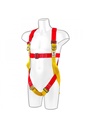 Portwest 2 Point Plus Harness FP10