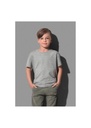 Stedman Classics Classic-T Organic Crew Neck Youths ST2220