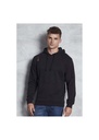 AWDis Hoods Distressed Hoodie JH019