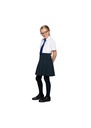 Blue Max Banner Charleston Pleated Skirt 1IZ