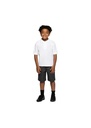 Blue Max Banner Bermuda Shorts 1K3