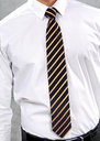 Premier Sports Strip Tie PR784