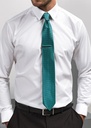 Premier Puppy Tooth Tie PR787