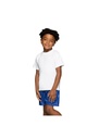 Blue Max Banner Shadow Stripe Shorts 3BS