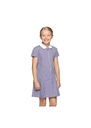 Blue Max Banner Avon Corded Gingham Dress 913104