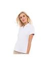 Absolute Apparel Elegant Ladies Fitted Polo AA13